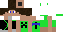 Texture for toco