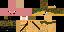 Texture for army