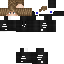 Texture for steve