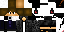 Texture for STEAVE
