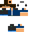 Texture for Pose