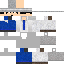 Texture for Gadget