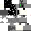 Texture for Ert