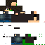 Texture for shift geko 1