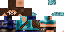 Texture for Steve