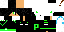 Texture for aws