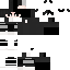 Texture for Ledgend