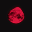 Texture for klimeqq
