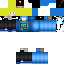 Texture for The Player