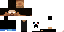 Texture for Mineshafter