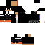 Texture for Evan_7