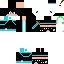 Texture for erik12274