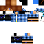 Texture for guilhermy