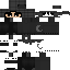 Texture for ds