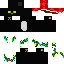 Texture for blackcat_noel2