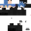 Texture for R1MFOX