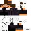 Texture for davidg pantera david