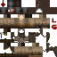 Texture for phestyn player