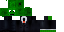Texture for turtle