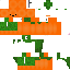 Texture for CarroT