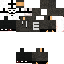 Texture for ggpitrsgg