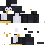 Texture for MC Penguin Small Beak