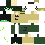 Texture for kagome