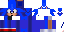 Texture for Sonic