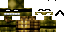 Texture for padro the new turtle
