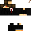 Texture for 245798