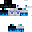 Texture for ender