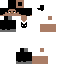 Texture for roy