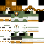 Texture for PIDGE3