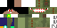 Texture for DINO