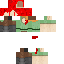 Texture for sasas