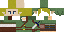 Texture for Link 2.0