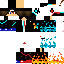 Texture for raphaël