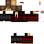 Texture for ds