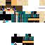Texture for Diguin_Br