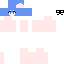 Texture for niko