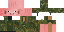 Texture for steve
