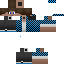 Texture for Dmit