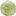 Texture for Cabbage
