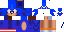 Texture for Sonic by Leo