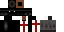 Texture for crusader