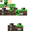 Texture for steve