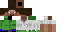 Texture for Steve