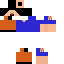 Texture for Steve