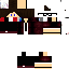 Texture for Leo2