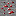 Texture for www